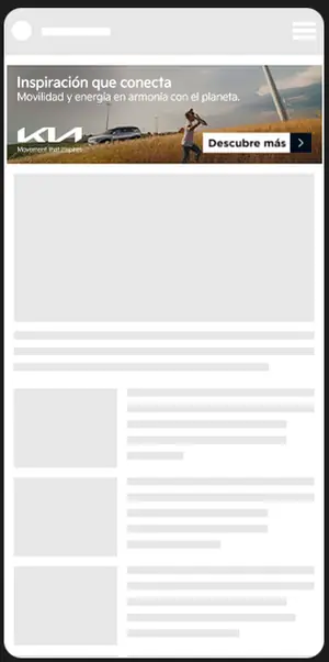 Full Expandable format example
